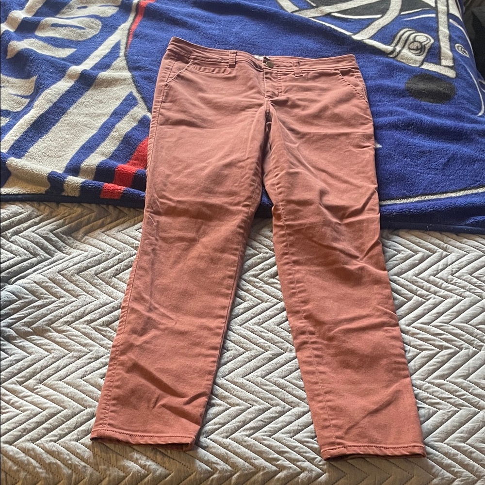 Market & Spruce Terracotta Trousers